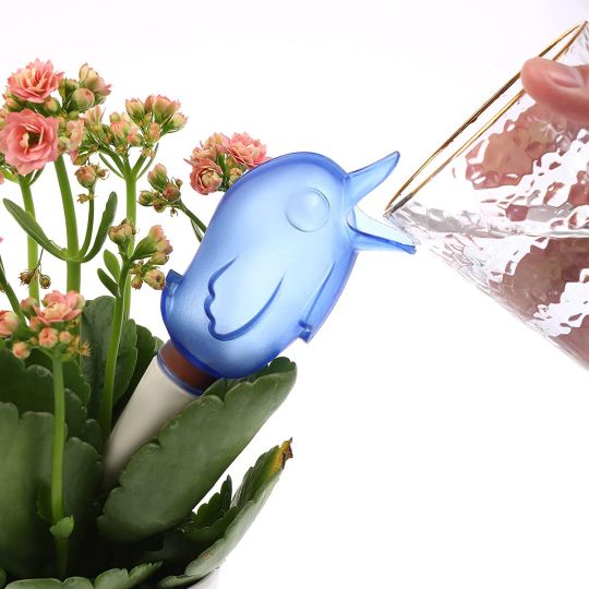 Automatic Little Bird Watering Device