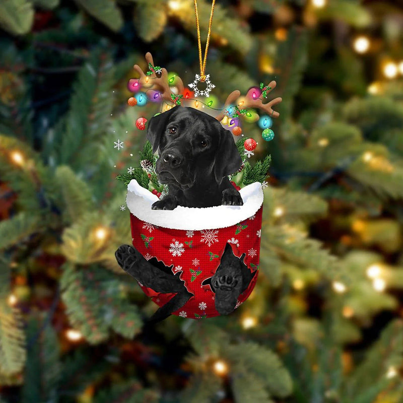 Cute Christmas Sock Dog Ornament
